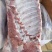 温州精品公猪肉后腿肉：2万2，一顿。净重25kg一包。