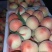 突围水蜜桃