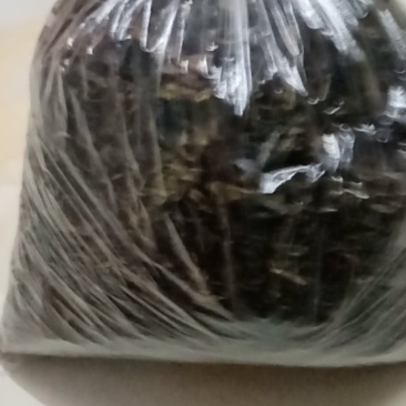 野生高山茶叶（连山金子山茶）全手工制作