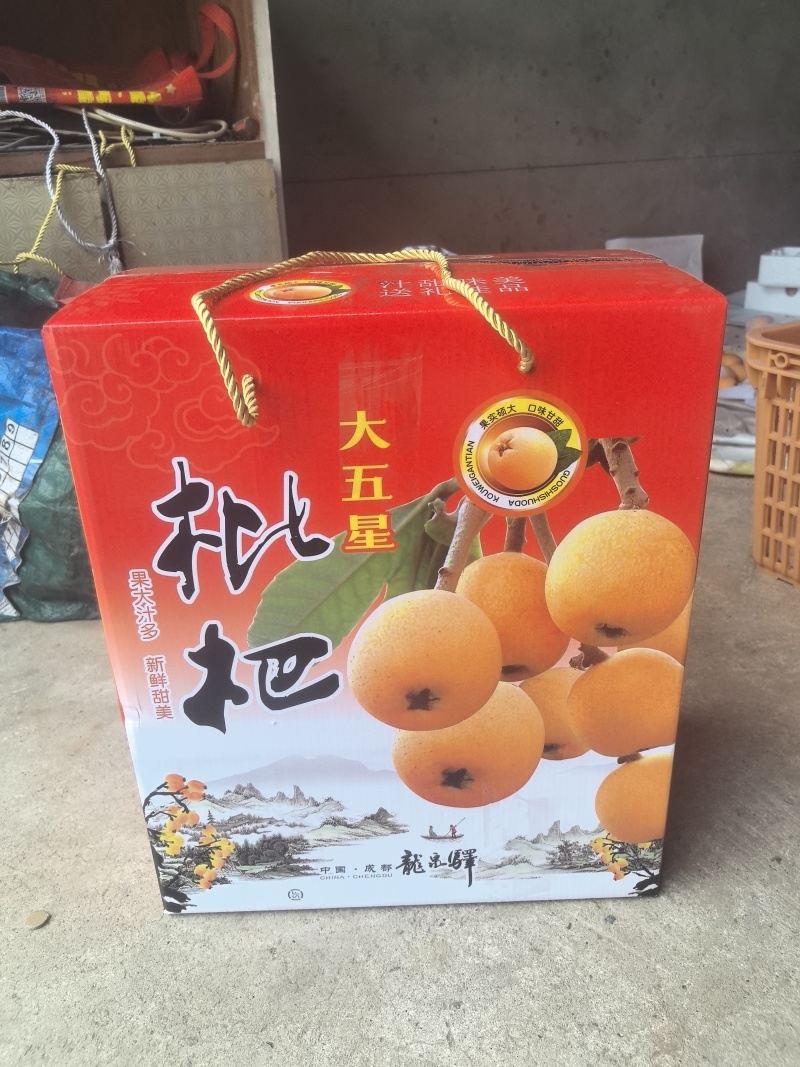 成都龙泉大五星枇杷