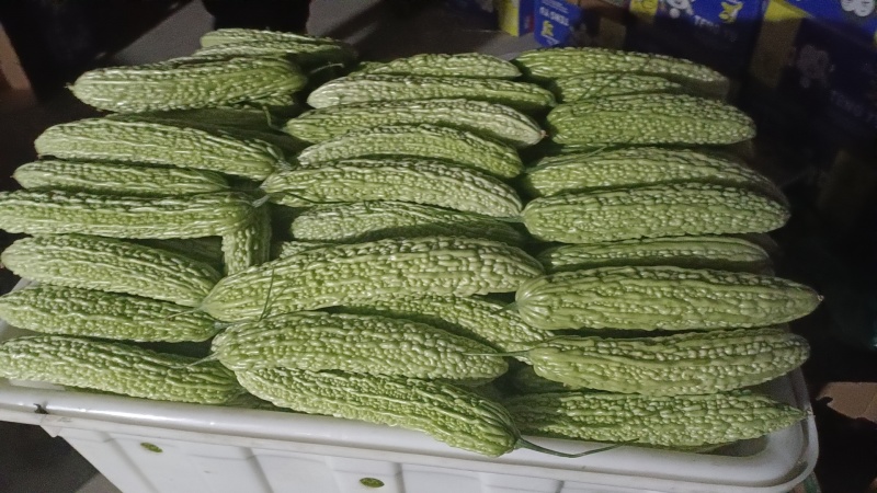 绿油苦瓜