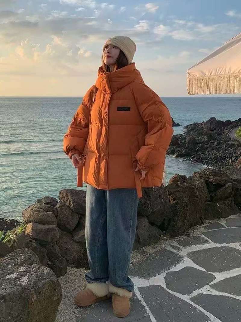 新到2025年新款女士韩版羽绒棉棉服，800件左右29.99