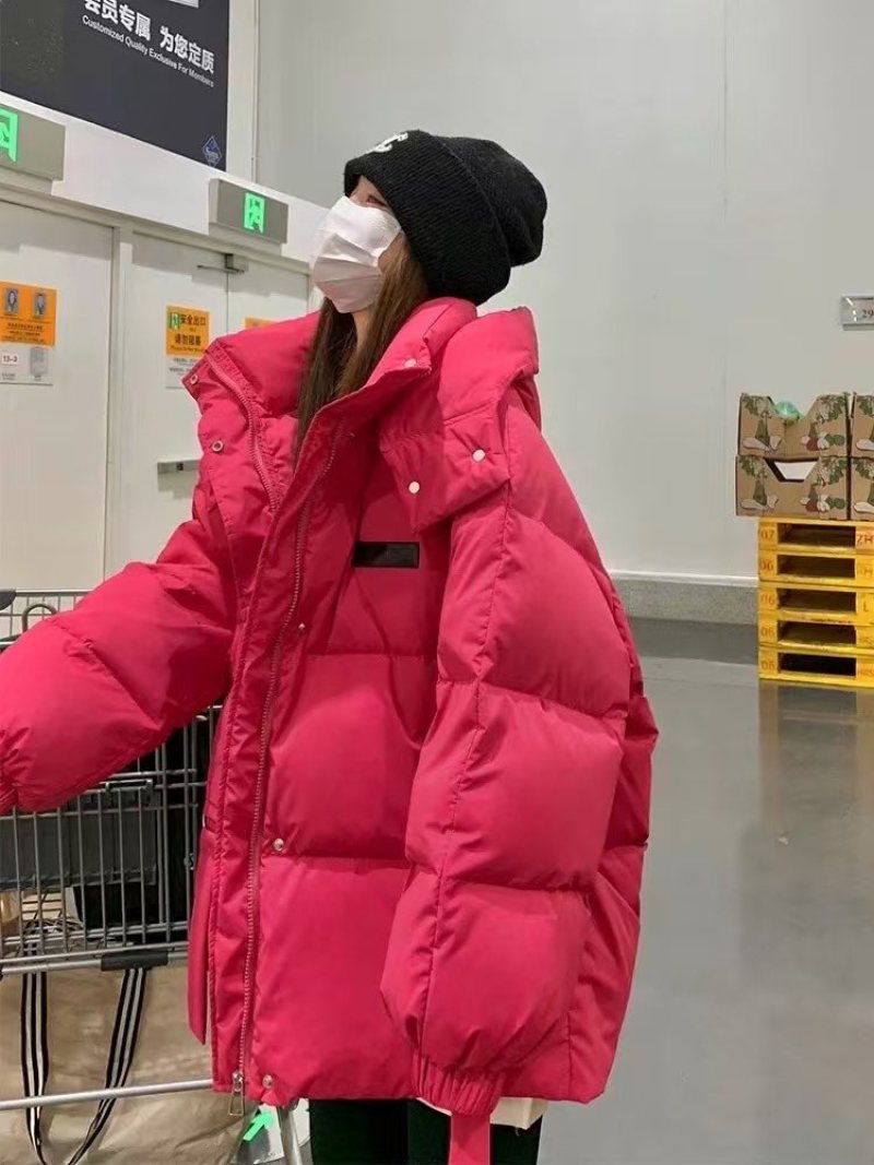 新到2025年新款女士韩版羽绒棉棉服，800件左右29.99