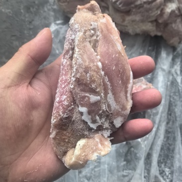 龙大猪前腱，有点黄头，处理了，价格美丽