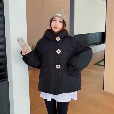 最后300件左右花栗鼠韩系女士**羽绒棉服29.99