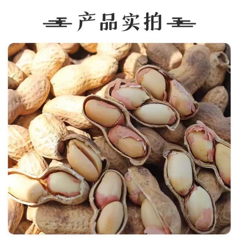 电商一件代发农家新货柴火炒花生铁锅带壳原味一件代发
