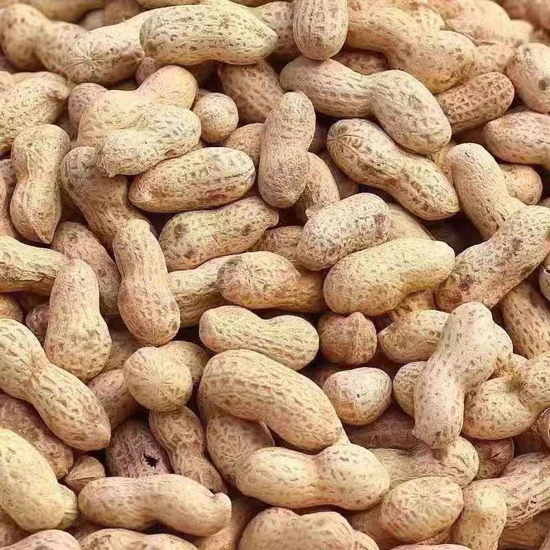 电商一件代发农家新货柴火炒花生铁锅带壳原味一件代发