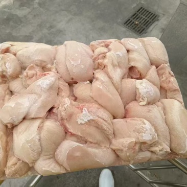 板冻大胸单冻精修大胸***********