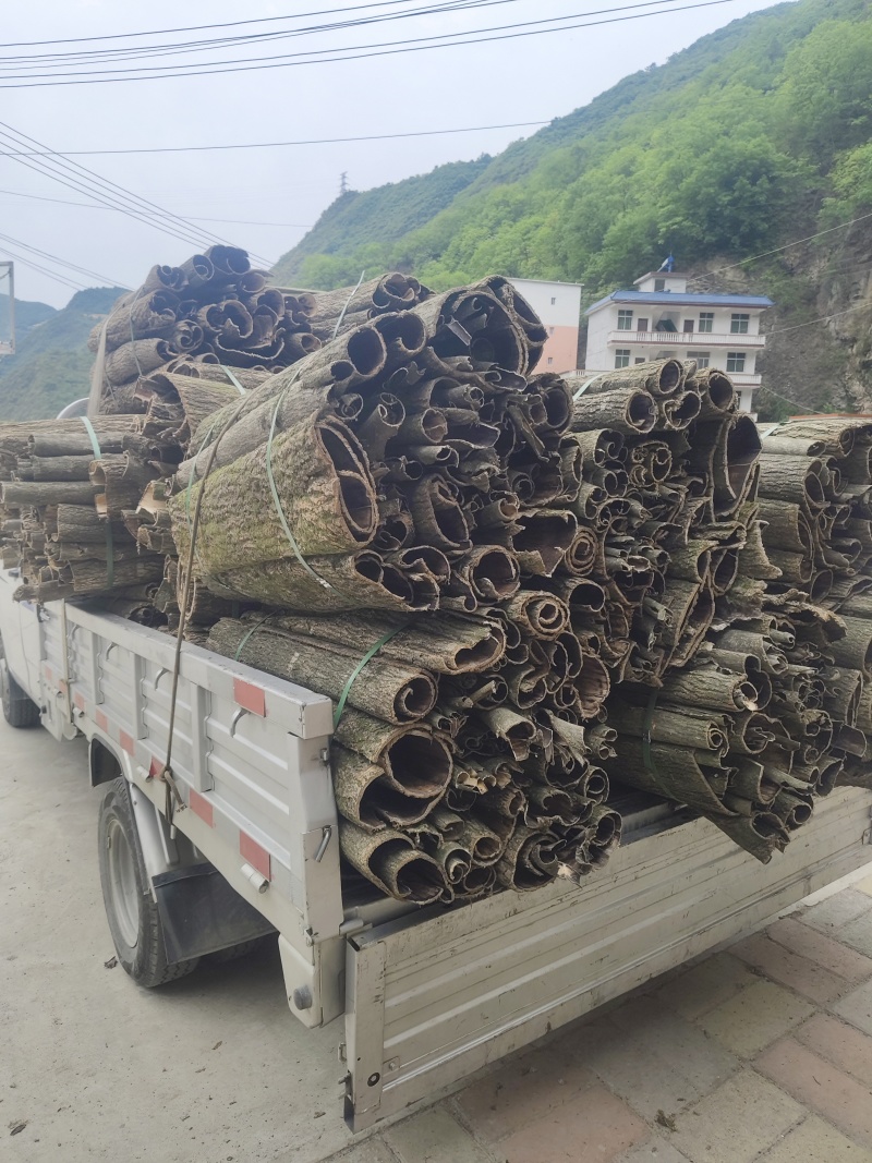 杜仲皮卷筒货，如下图