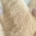 陕西地区，稻壳粉，统糠筛糠0.6-2.5规格，现打现发