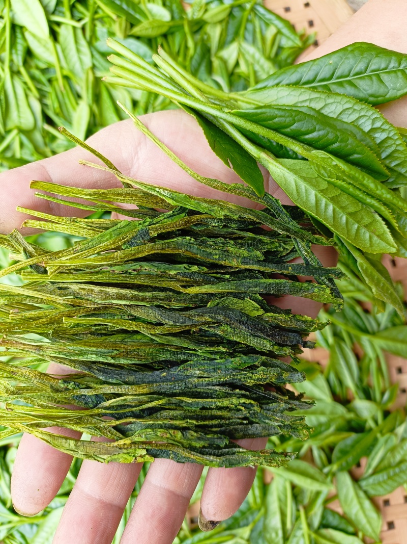 茶叶