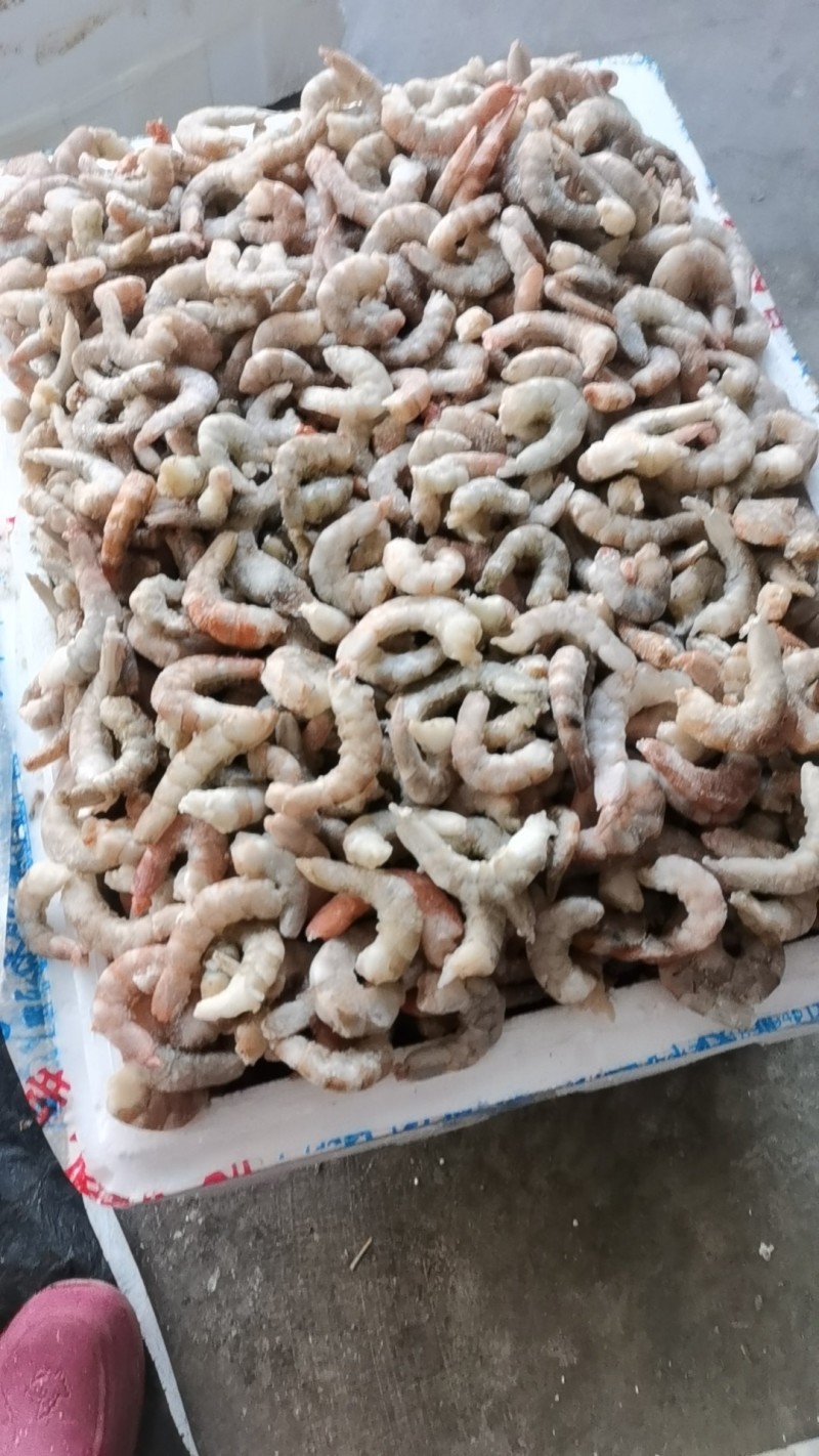 养虾厂里批发无冰衣手扒速冻通货虾仁，次品虾仁