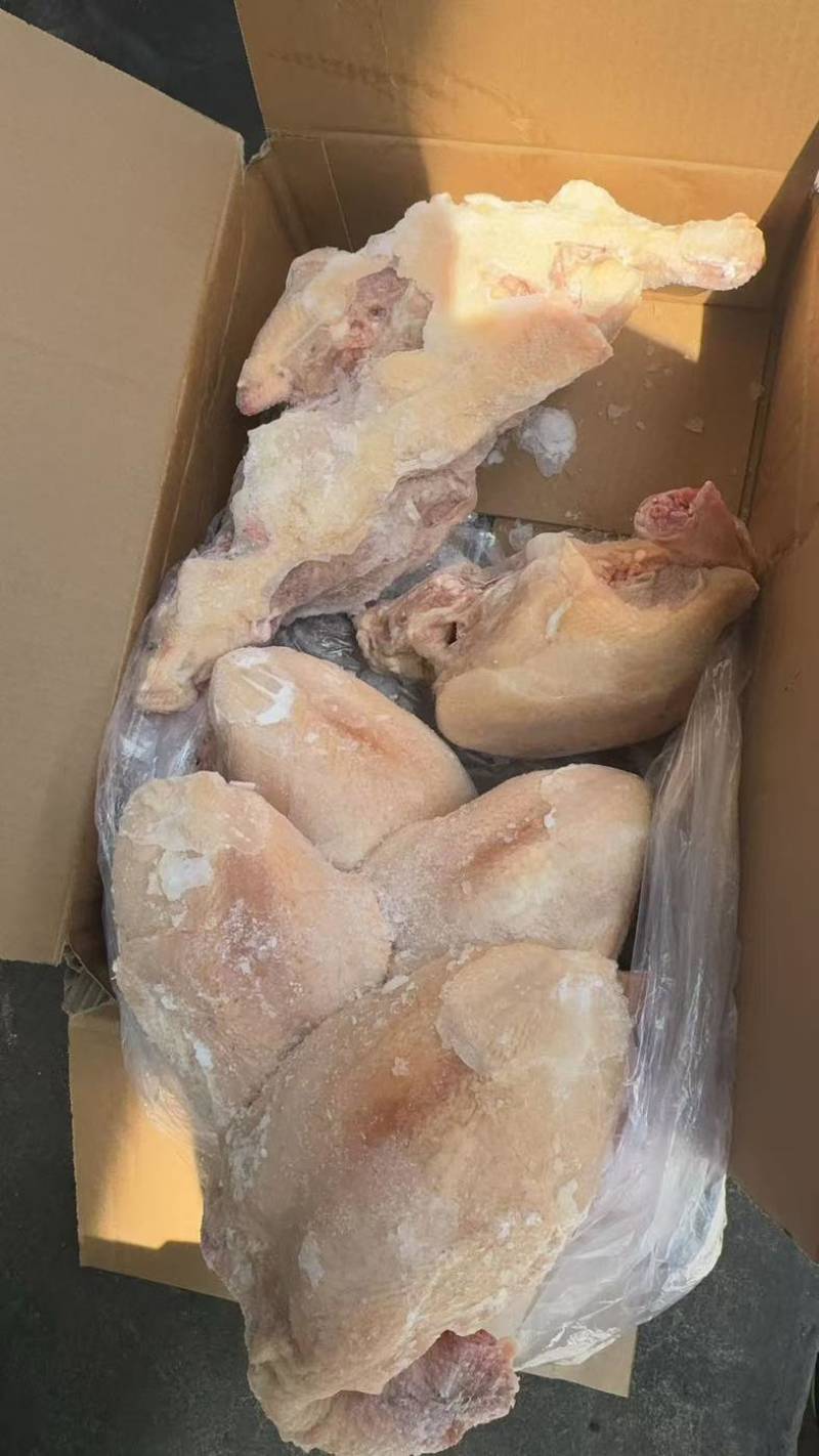 大胸鸡架屠宰场出厂干货！都是大肉食鸡货源稳定！屠宰出厂