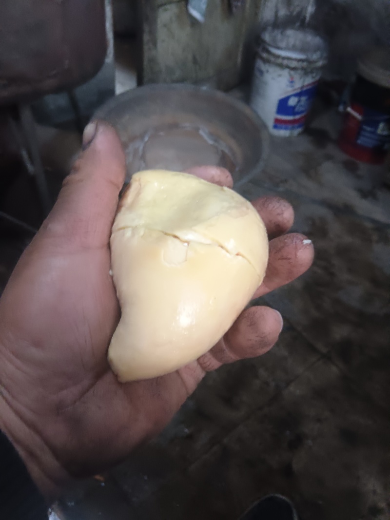 卖鸡宝