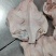 猪肉厂家什么产品都有
