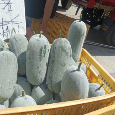 云南小香冬瓜