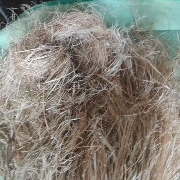 大量汉麻出售，价格实惠