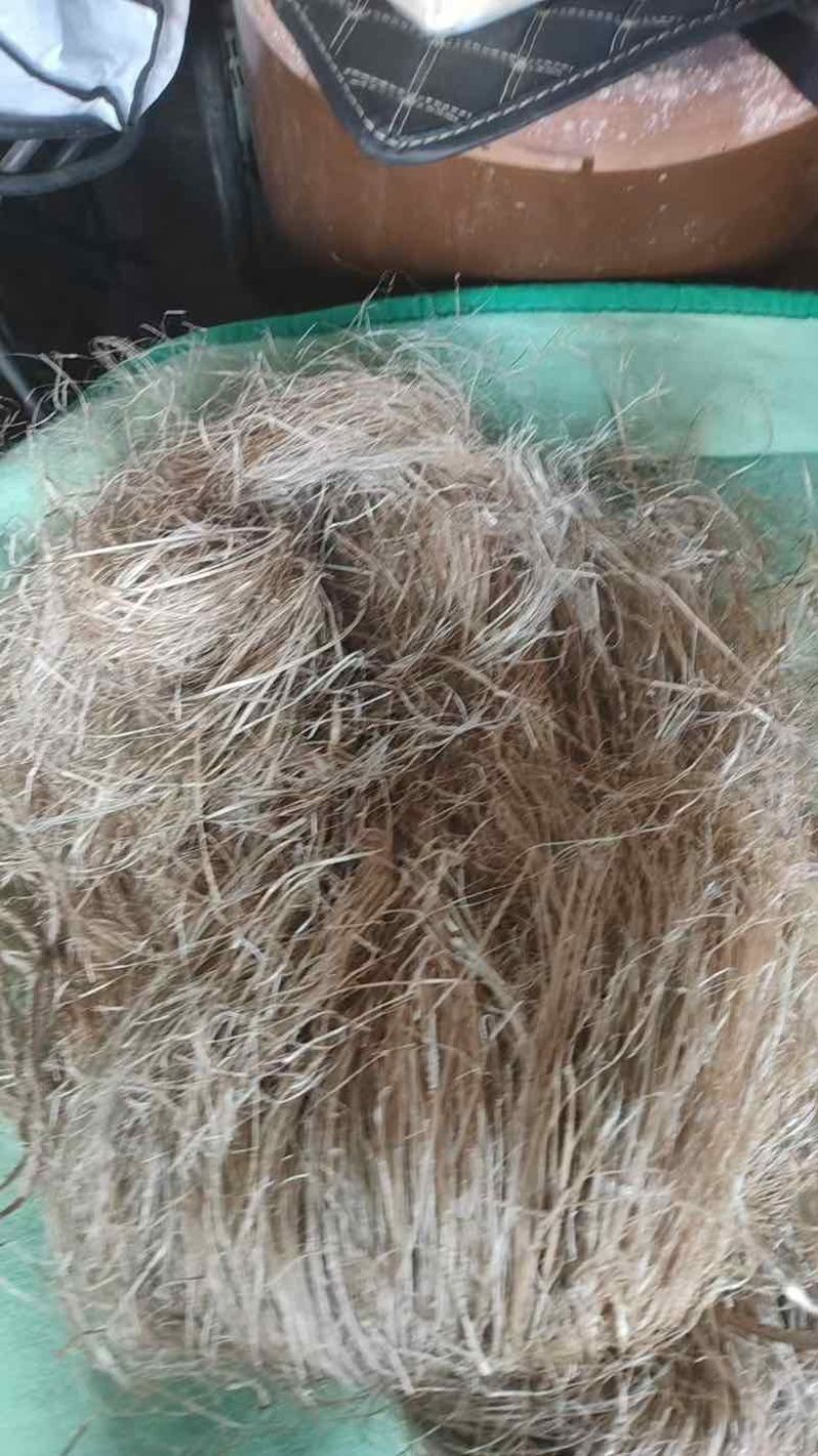 大量汉麻出售，价格实惠