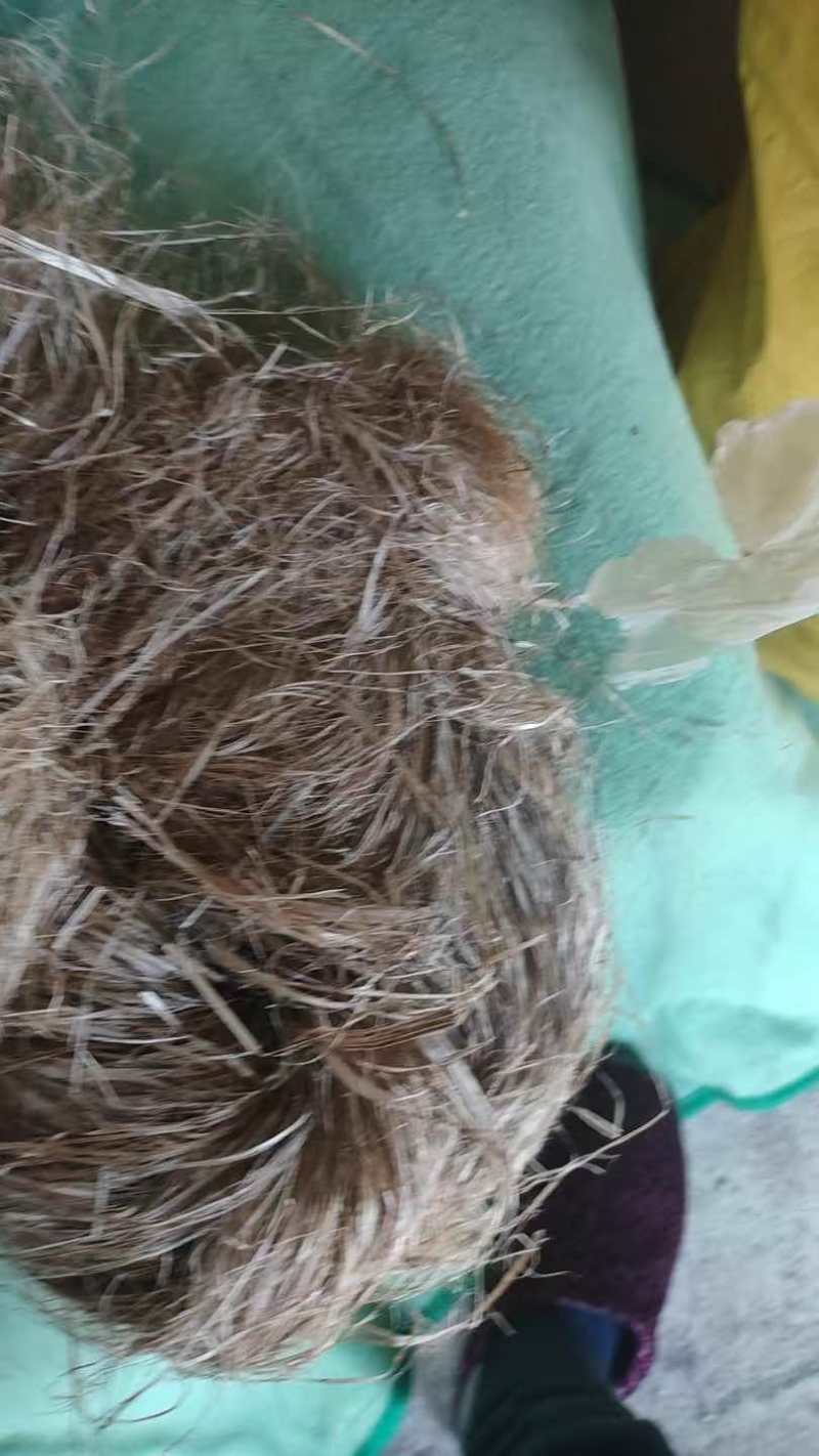 大量汉麻出售，价格实惠
