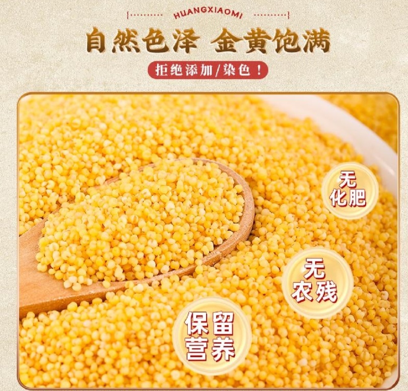 陕北米脂小米