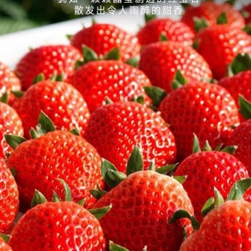 草莓牛奶