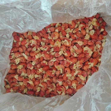 虾尾一件代发厂家货源，各种虾尾各种品质大量供应