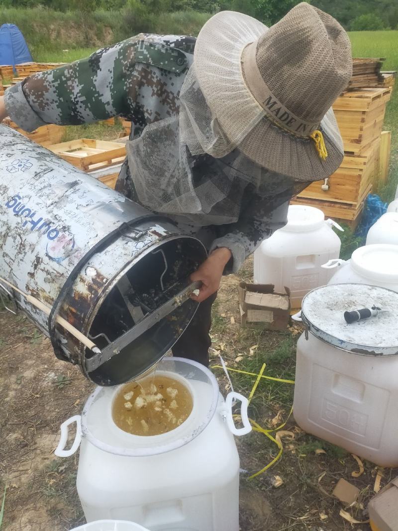 甘肃陇南杨槐蜂蜜