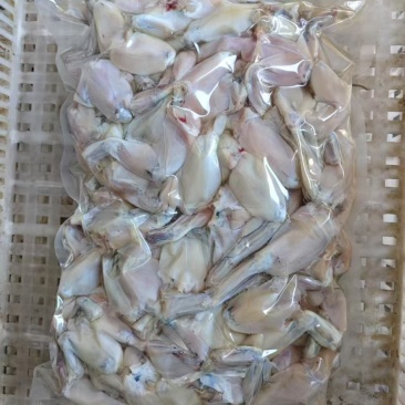 牛蛙腿10吨