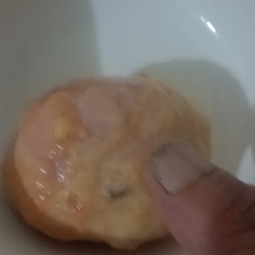 鸡宝