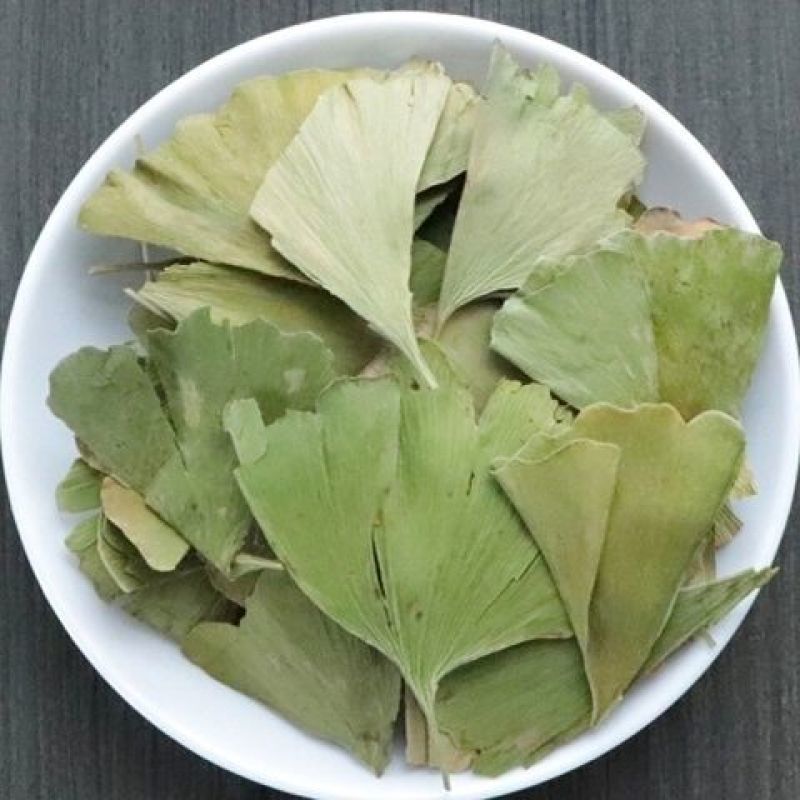 干银杏叶片