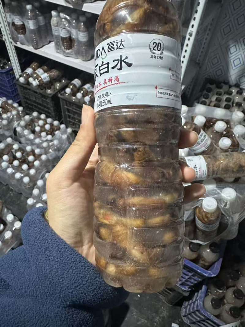 2025年现货金蝉