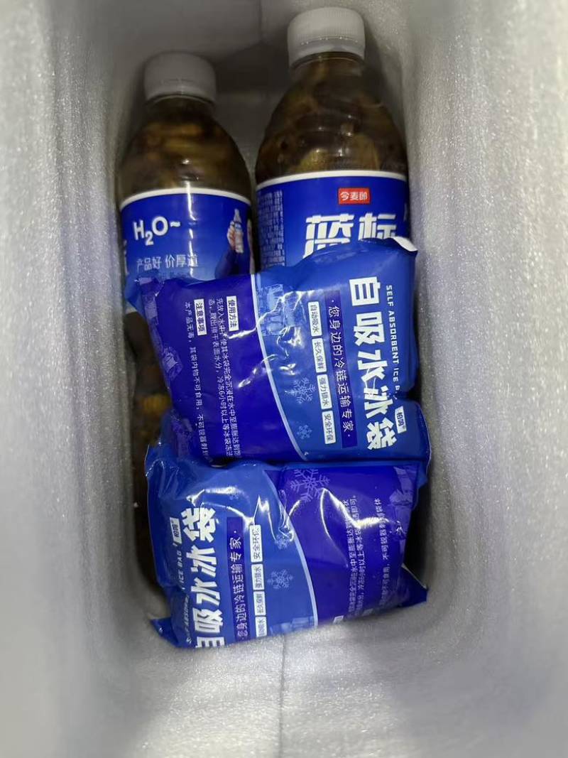 2025年现货金蝉