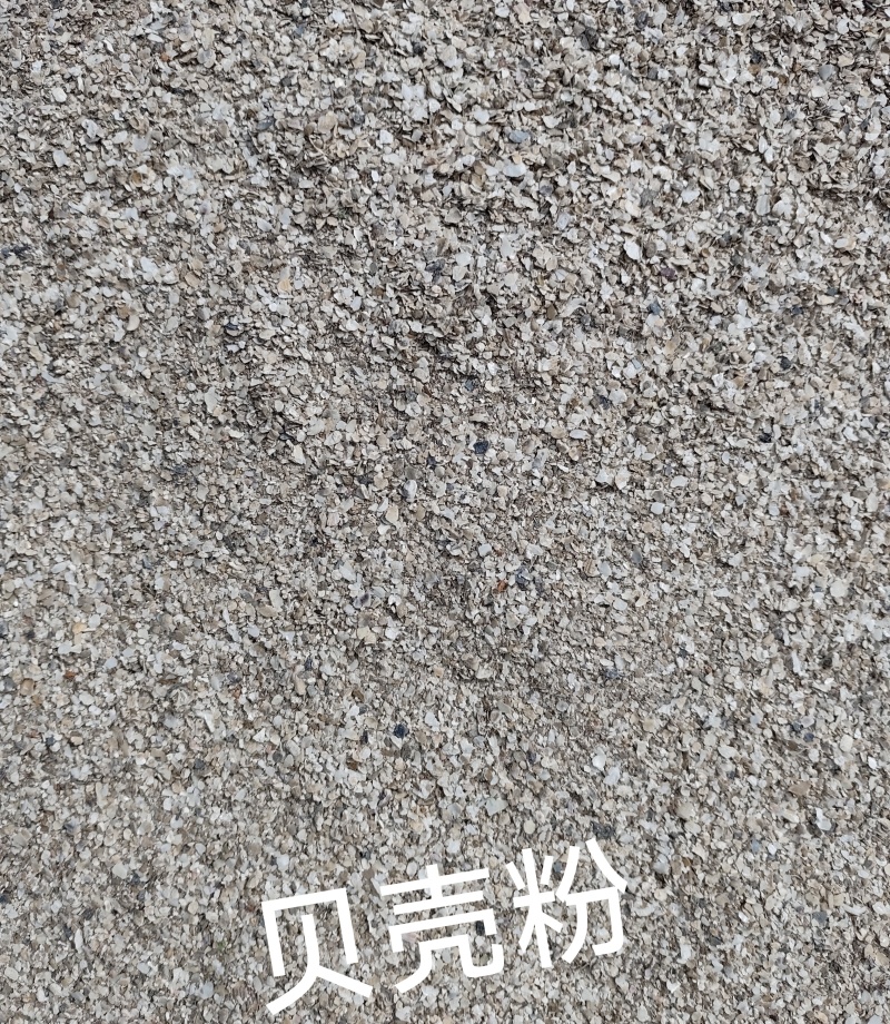 蛋鸡蛋鸭鹌鹑鸽子补钙贝壳粉