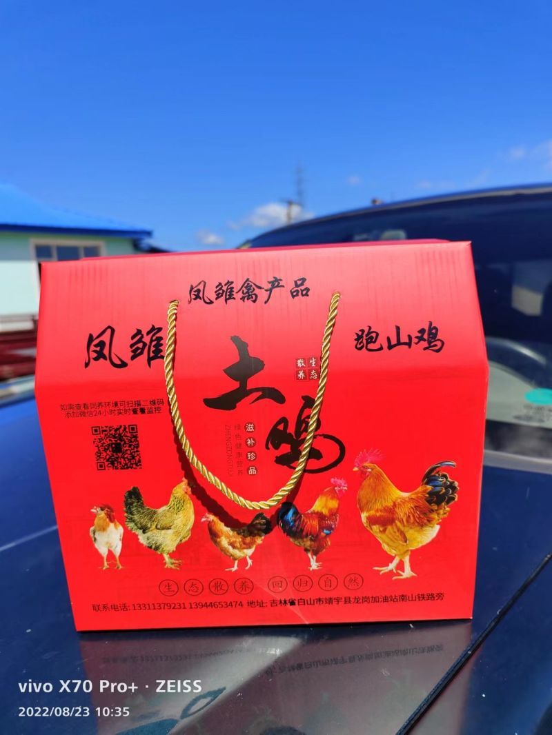 钦州走山鸡