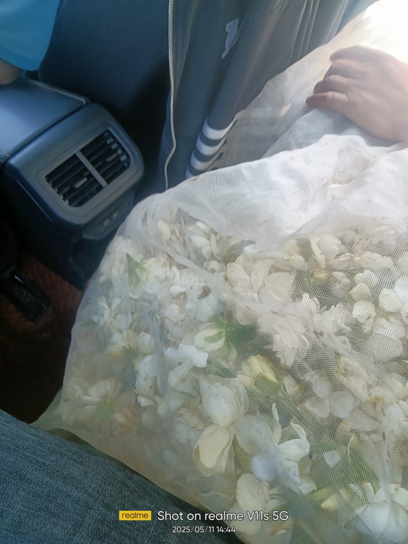 栀子花