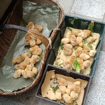 鸡子，下单错了不想养，大概50只左右，一起40元可以吗