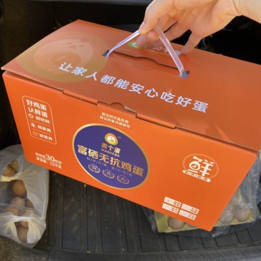 支持检测报告，可打字