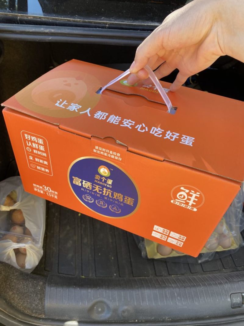 支持检测报告，可打字