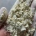 小麦谷朊粉，面筋粉