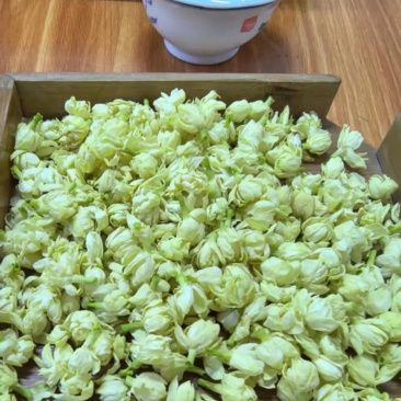 横县茉莉花干
