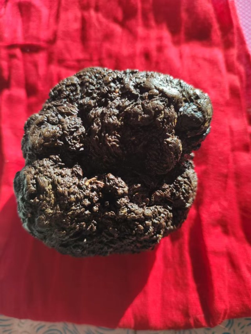 羊结石羊宝