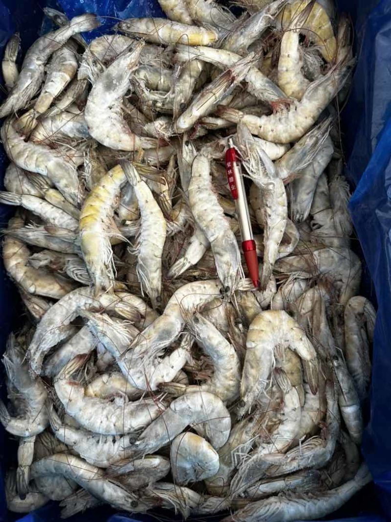 30/40厄瓜多尔白虾大小个头均匀肉质紧实一件24斤