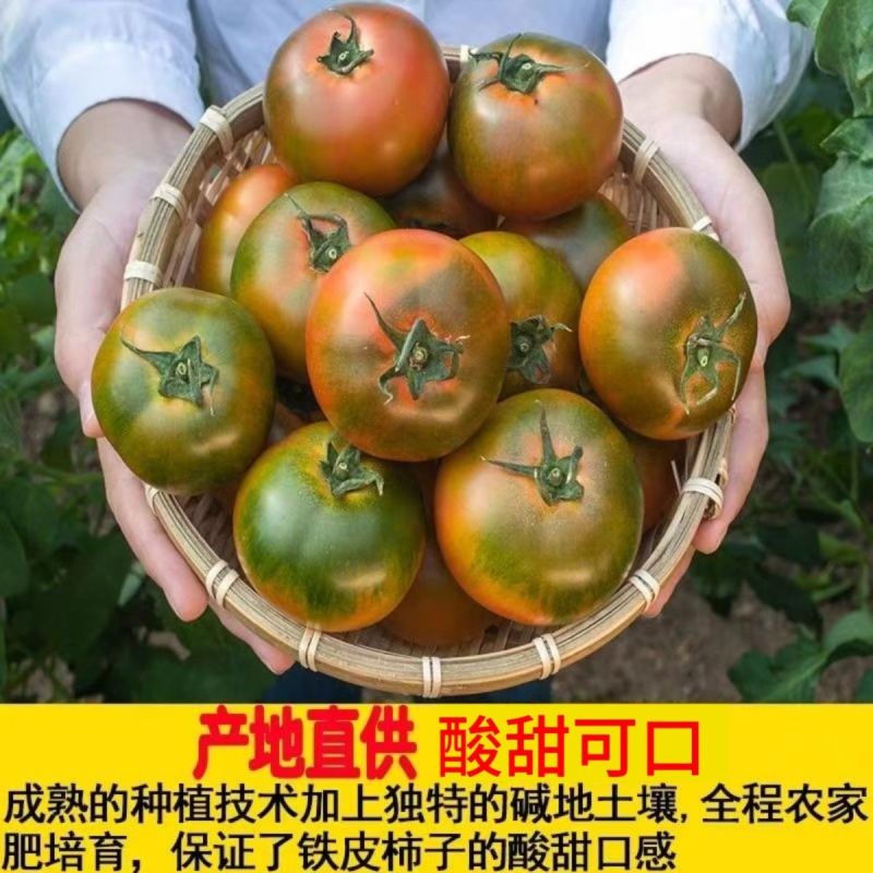 草莓西红柿铁皮柿子铁皮柿子碱地柿子水果番茄