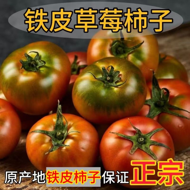 草莓西红柿铁皮柿子铁皮柿子碱地柿子水果番茄