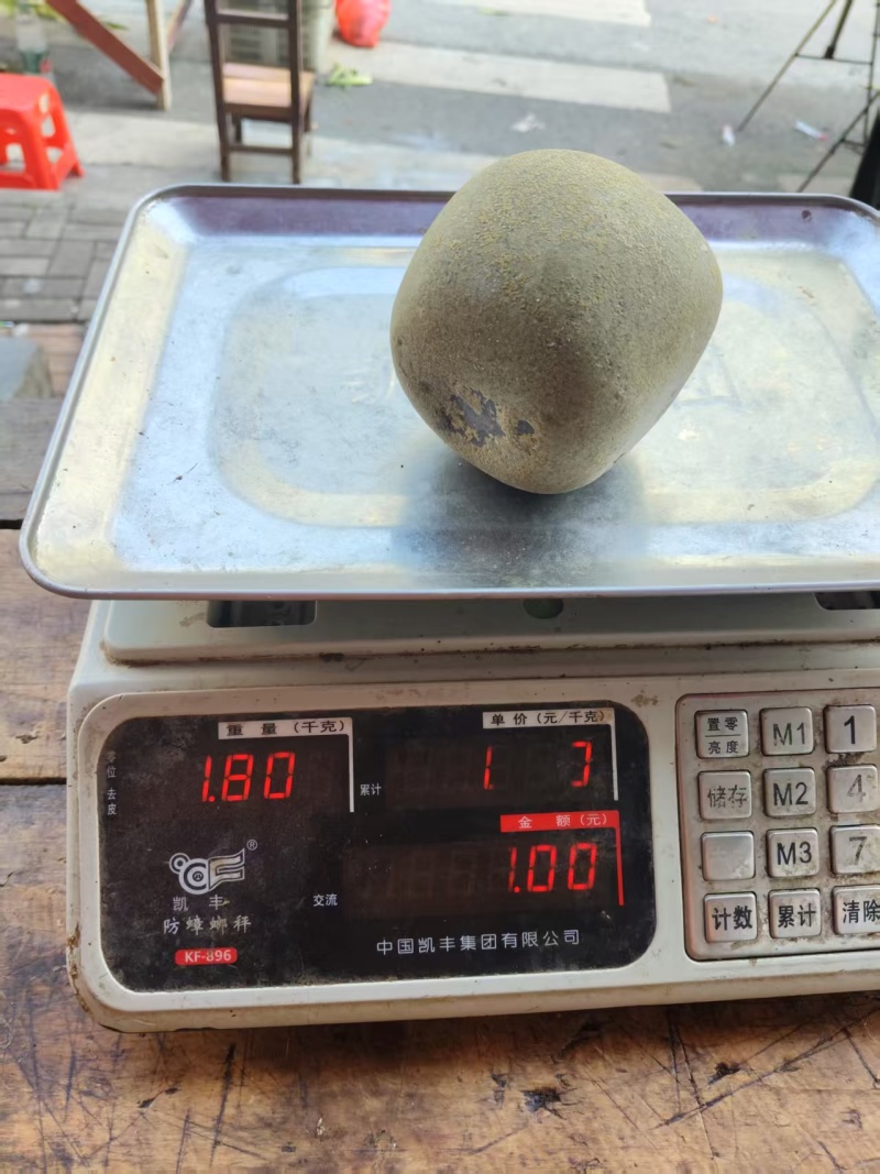 马宝