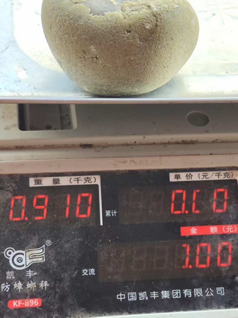 马宝