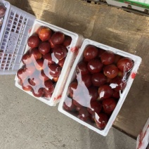 油桃