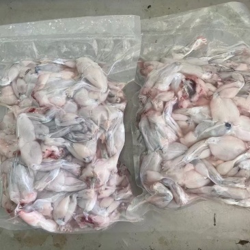 牛蛙50克左右8吨