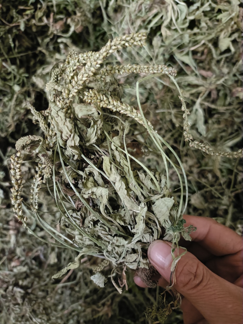 花茶