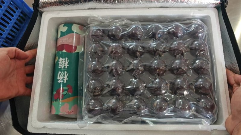 石屏东魁杨梅15-20克一件2公斤